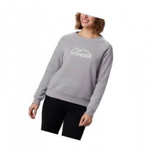 Bluza Columbia Hart Mountain Long Sleeve Graphic Crew Damskie Szare | 84MGHFKZV