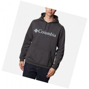 Bluza z Kapturem Columbia Mount Mitchell Męskie Ciemny Szare | 35YHDCPUJ