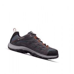 Buty Trekkingowe Columbia Crestwood Waterproof Męskie Jasny Szare | 38PEGTXAV