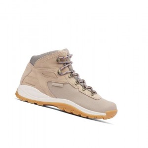 Buty Trekkingowe Columbia Newton Ridge Canvas Waterproof Wide Męskie Brązowe Królewski Niebieski | 52EUCZYRM