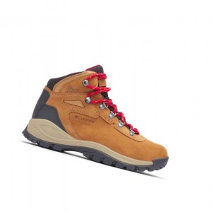 Buty Trekkingowe Columbia Newton Ridge Plus Waterproof Amped Wide Damskie Niebieskie Czerwone | 61PHNEVBU