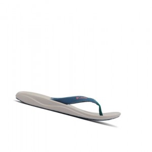 Japonki Columbia Flip Sandal Damskie Niebieskie Zielone | 59EGYFBMC