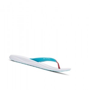 Japonki Columbia Flip Sandal Damskie Niebieskie | 37LDAPVCK