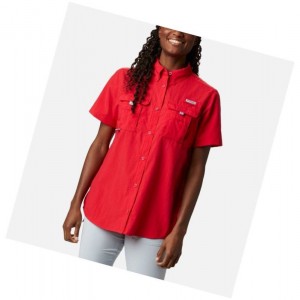 Koszule Columbia PFG Bahama Short Sleeve Damskie Czerwone | 51IWAOUZF