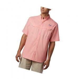 Koszule Columbia PFG Low Drag Offshore Short Sleeve Męskie Różowe | 45WHQDMYT