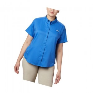 Koszule Columbia PFG Tamiami II Short Sleeve Plus Size Damskie Niebieskie | 74PTONVSU