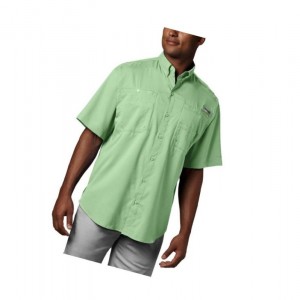 Koszule Columbia PFG Tamiami II Short Sleeve Big Męskie Zielone | 70FMERWNP