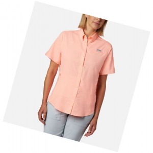 Koszule Columbia PFG Tamiami II Short Sleeve Damskie Różowe | 69GIOUYLK