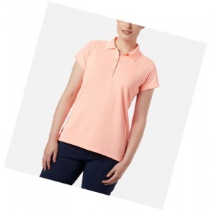 Koszulki Polo Columbia PFG Innisfree Short Sleeve Damskie Różowe | 03WPNGKJH