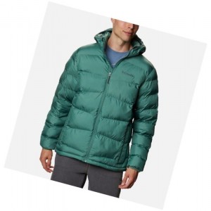 Kurtki Columbia Fivemile Butte Hooded Męskie Zielone | 40UKGLJOY