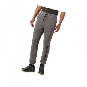 Spodnie Columbia Lodge Double Knit Jogger Męskie Szare | 85OUEJZMA