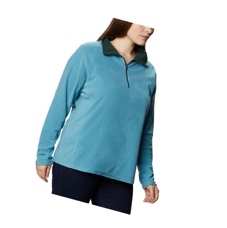 Bluza Columbia Glacial IV 1/2 Zip Plus Size Damskie Niebieskie | 05CXVRGIT