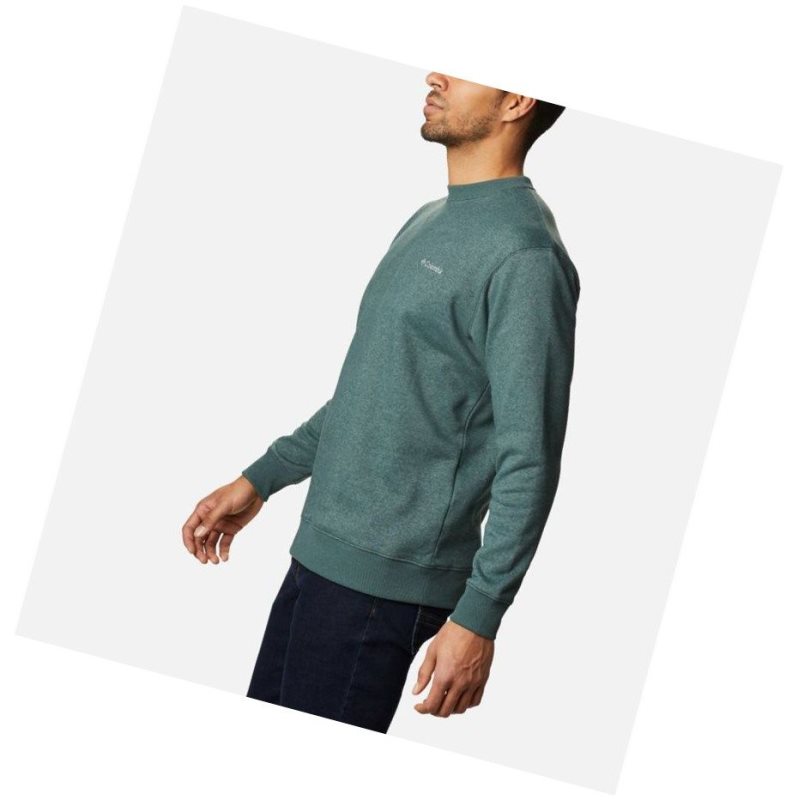 Bluza Columbia Hart Mountain II Crew Fleece Męskie Zielone | 39RFUIYHZ