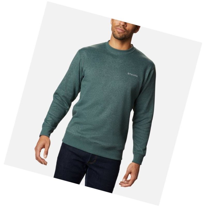 Bluza Columbia Hart Mountain II Crew Fleece Męskie Zielone | 39RFUIYHZ