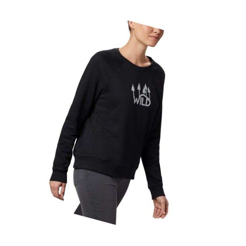 Bluza Columbia Hart Mountain Long Sleeve Graphic Crew Damskie Czarne | 65TFLONCD