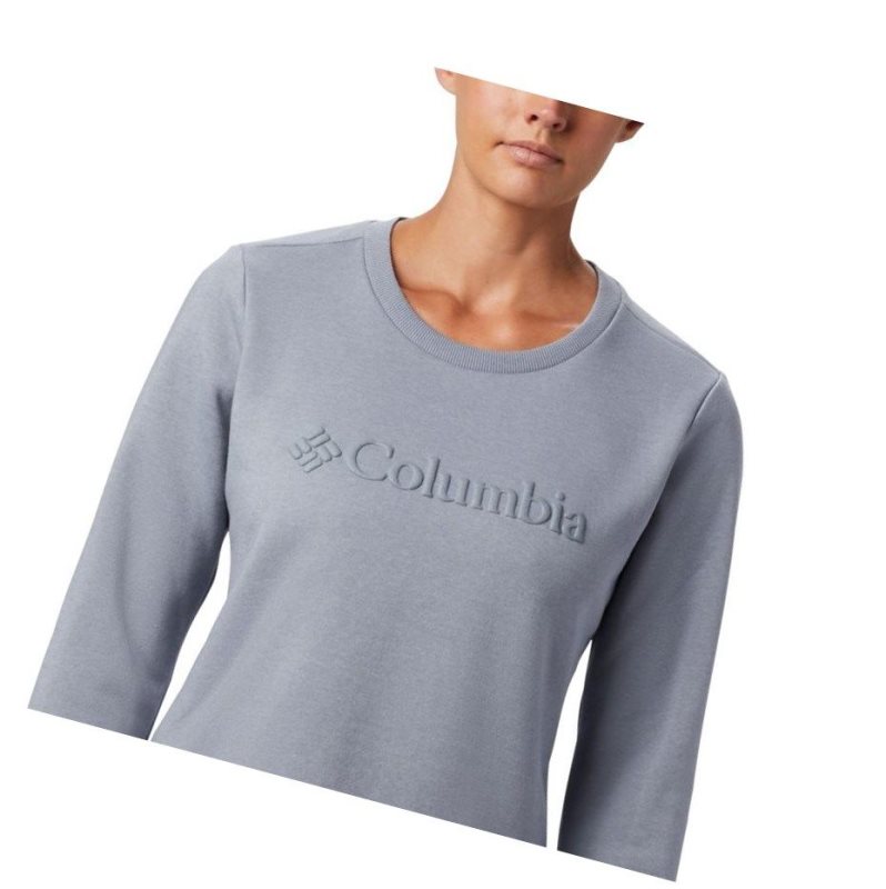 Bluza Columbia Logo Crew Top Damskie Szare | 50LDIGQOX