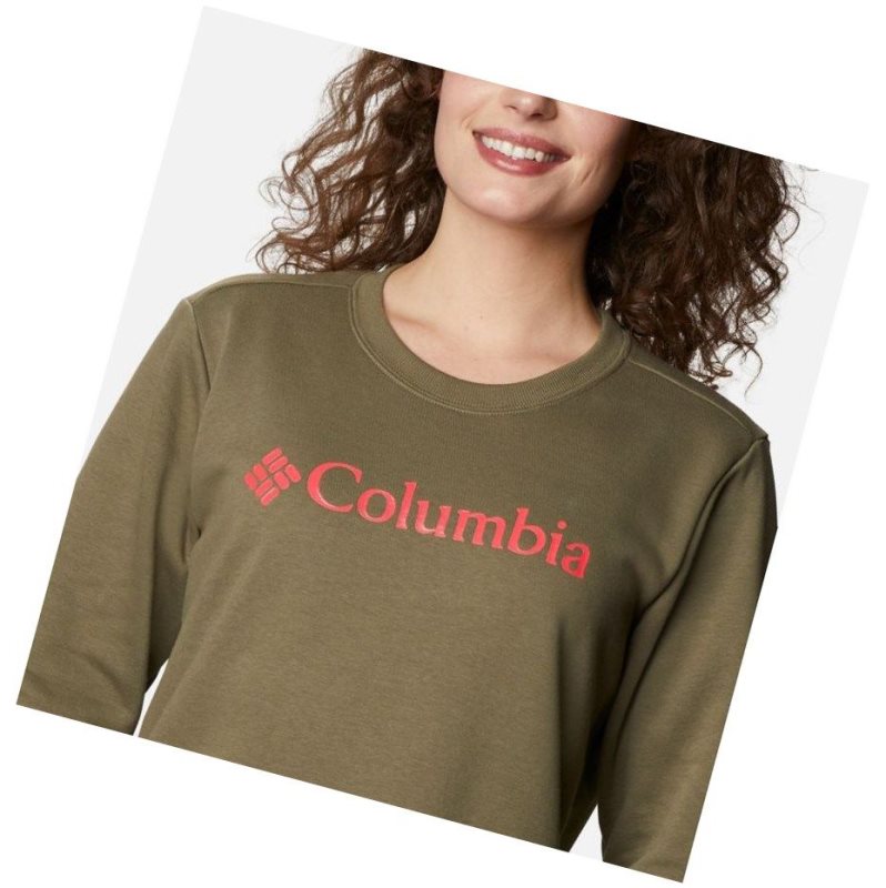 Bluza Columbia Logo Crew Top Damskie Szare Zielone | 46AVSFTUR