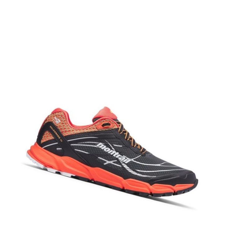 Buty do Biegania Columbia Caldorado III OutDry Trail Damskie Jasny Szare | 26ICMOTDU