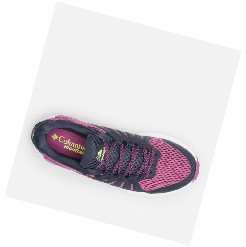 Buty do Biegania Columbia F.K.T. Trail Damskie Ciemny Niebieskie | 98GUKTPME