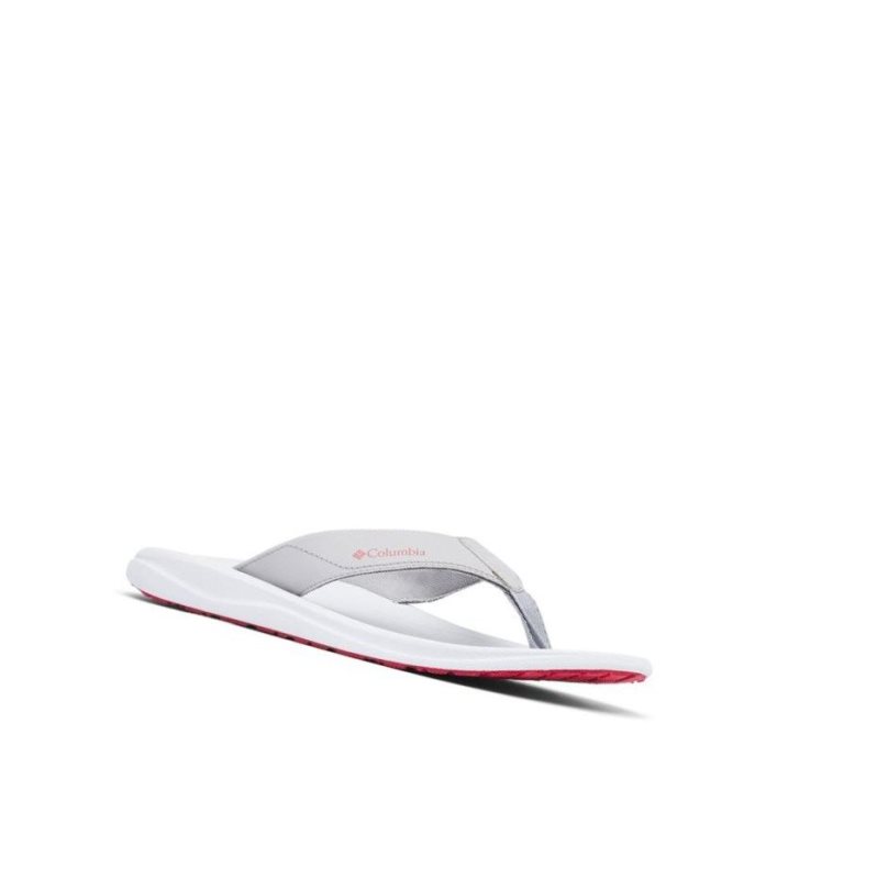 Japonki Columbia Flip Flop Męskie Beżowe | 34PYLHKOU