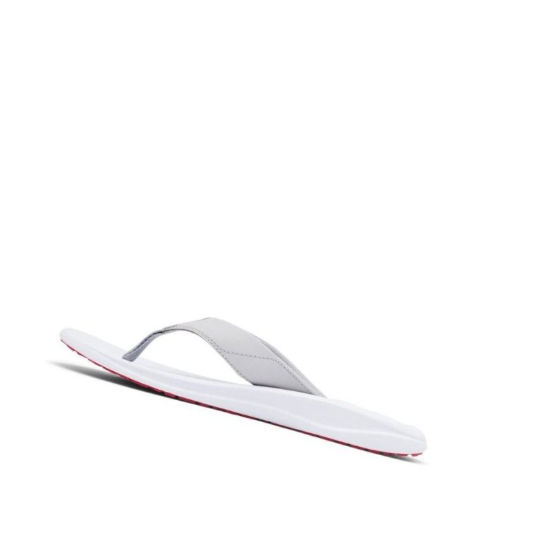 Japonki Columbia Flip Flop Męskie Beżowe | 34PYLHKOU