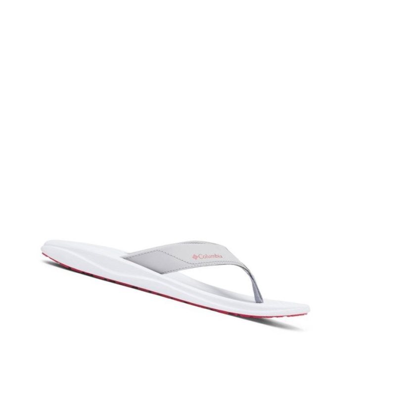 Japonki Columbia Flip Flop Męskie Beżowe | 34PYLHKOU