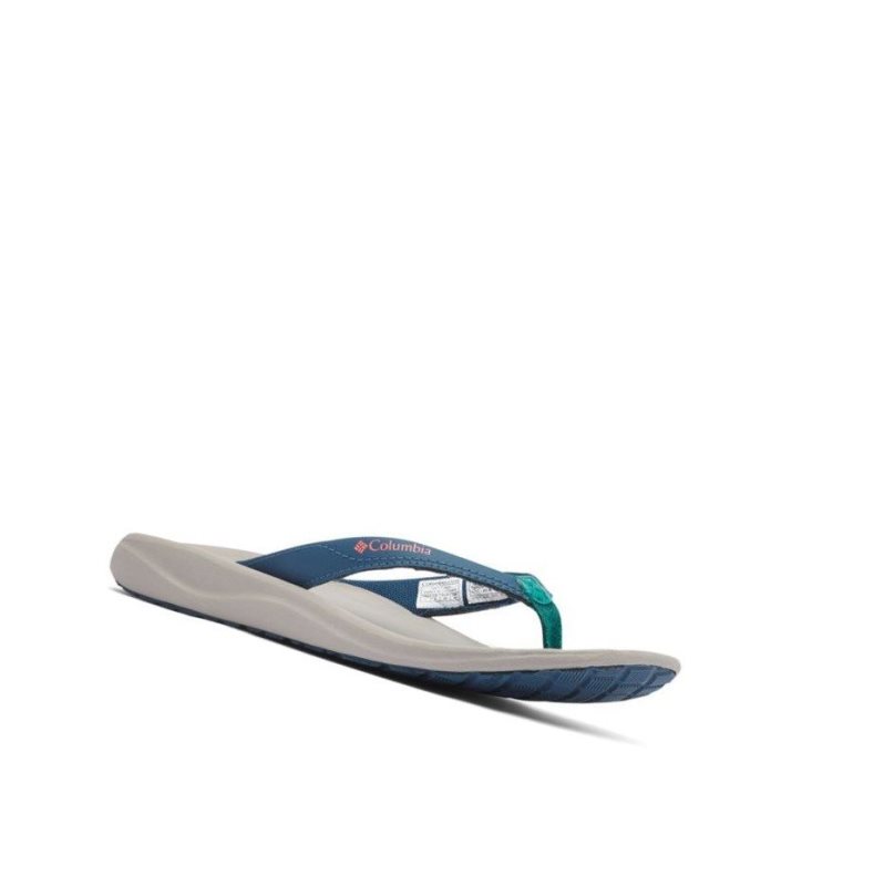 Japonki Columbia Flip Sandal Damskie Niebieskie Zielone | 59EGYFBMC