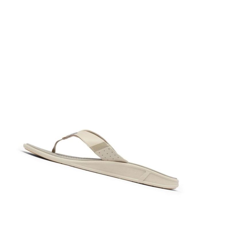 Japonki Columbia PFG Fish Flip Sandal Męskie Brązowe Khaki | 05FYTXWUB