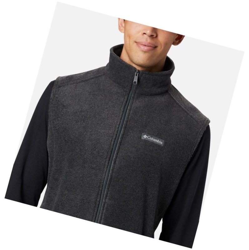 Kamizelka Columbia Steens Mountain Fleece Męskie Szare | 15YPCFBKX