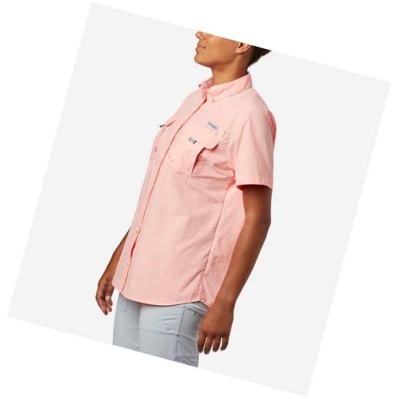 Koszule Columbia PFG Bahama Short Sleeve Damskie Różowe | 49BLZTODW