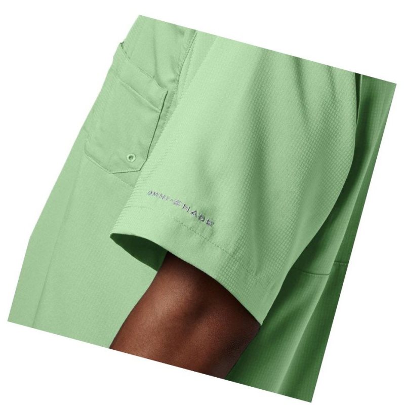 Koszule Columbia PFG Tamiami II Short Sleeve Big Męskie Zielone | 70FMERWNP