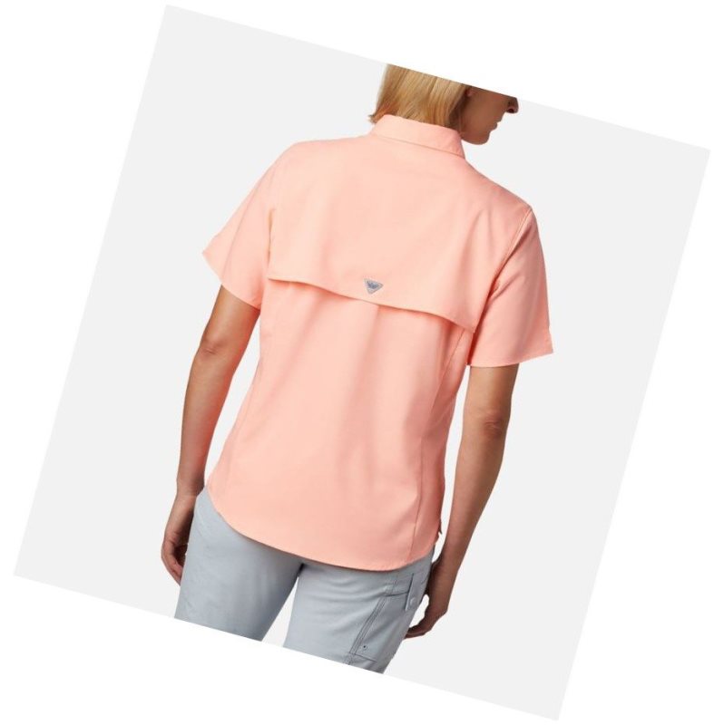 Koszule Columbia PFG Tamiami II Short Sleeve Damskie Różowe | 69GIOUYLK