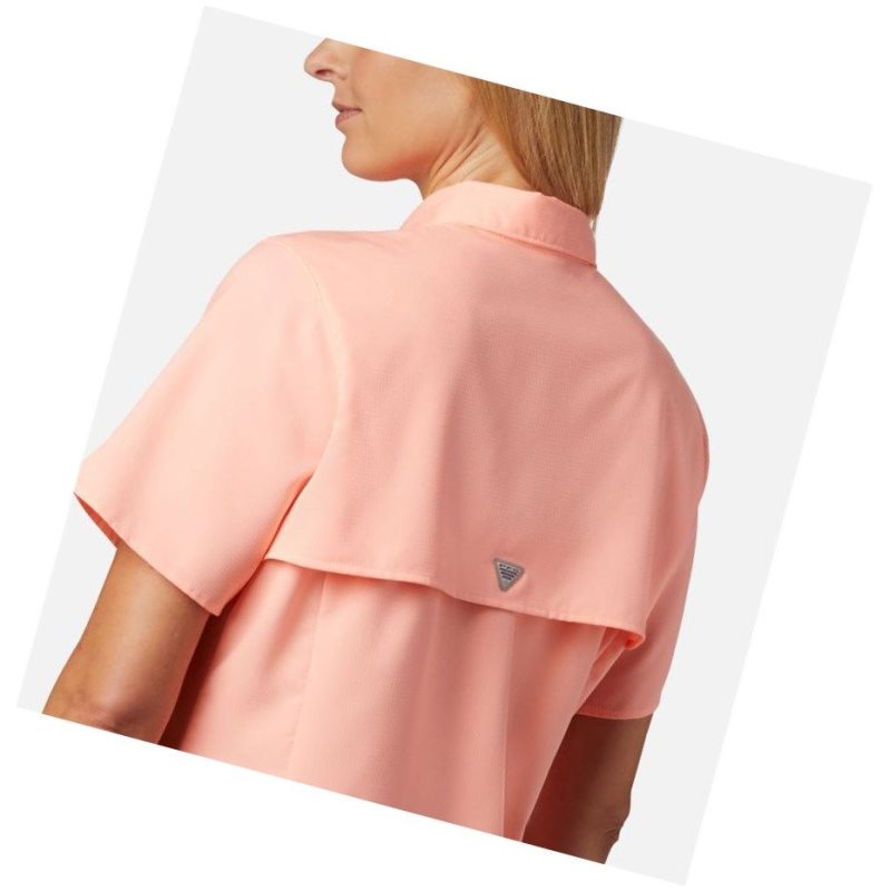 Koszule Columbia PFG Tamiami II Short Sleeve Damskie Różowe | 69GIOUYLK