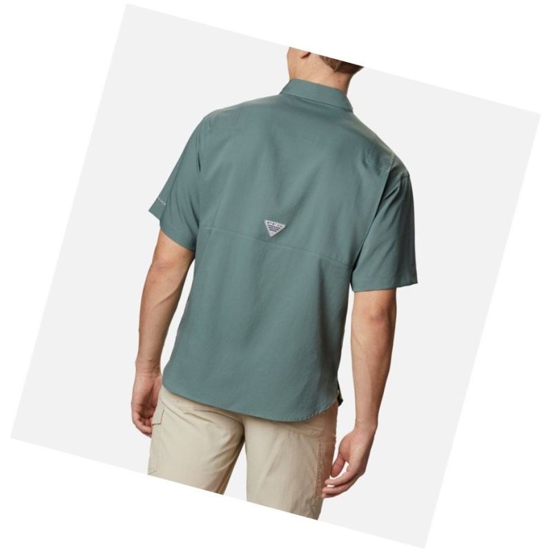 Koszule Columbia PFG Tamiami II Short Sleeve Tall Męskie Zielone | 69CWUQYXO