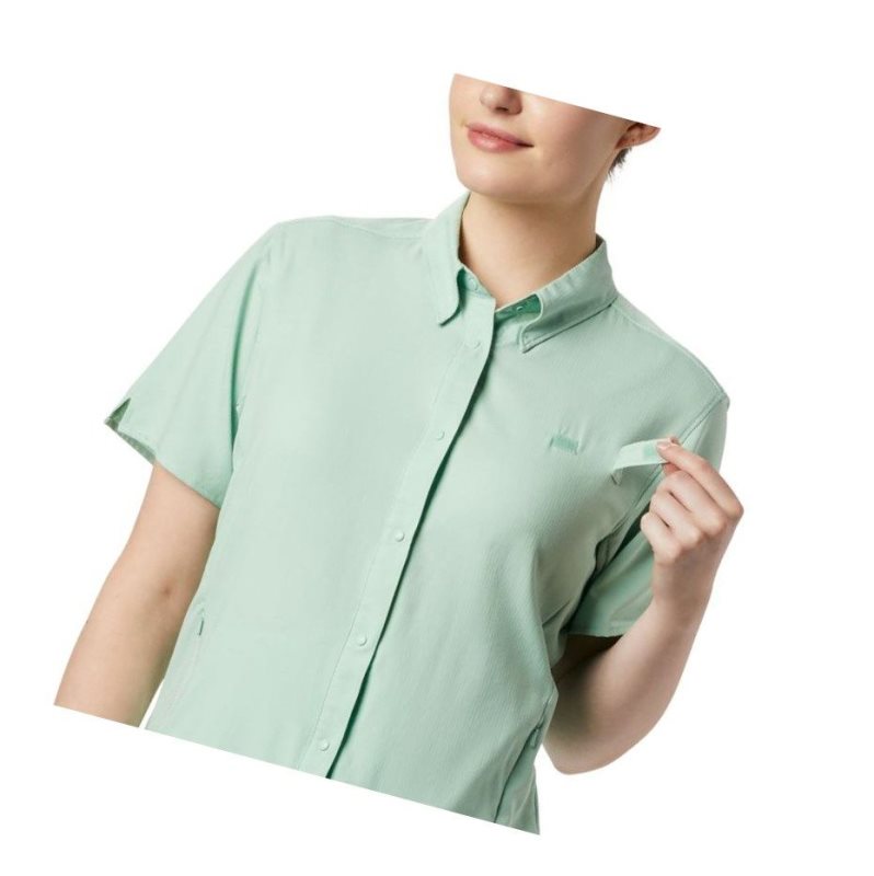 Koszule Columbia PFG Tamiami II Short Sleeve Damskie Mięta | 51DVFABWC