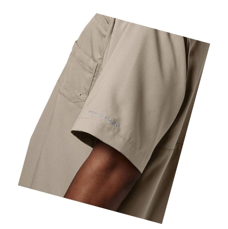 Koszule Columbia PFG Tamiami II Short Sleeve Męskie Khaki | 93GRXMKZD