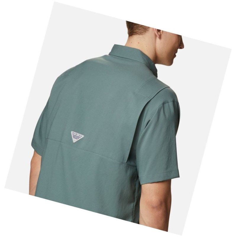 Koszule Columbia PFG Tamiami II Short Sleeve Big Męskie Zielone | 19BRSAGEF