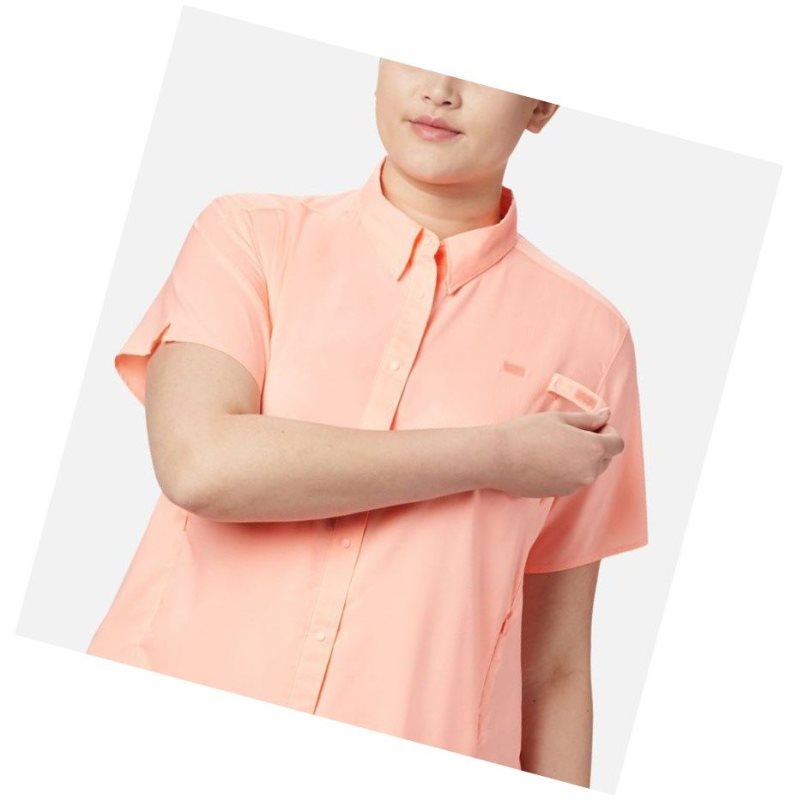 Koszule Columbia PFG Tamiami II Short Sleeve Plus Size Damskie Różowe | 06WEZXRVS