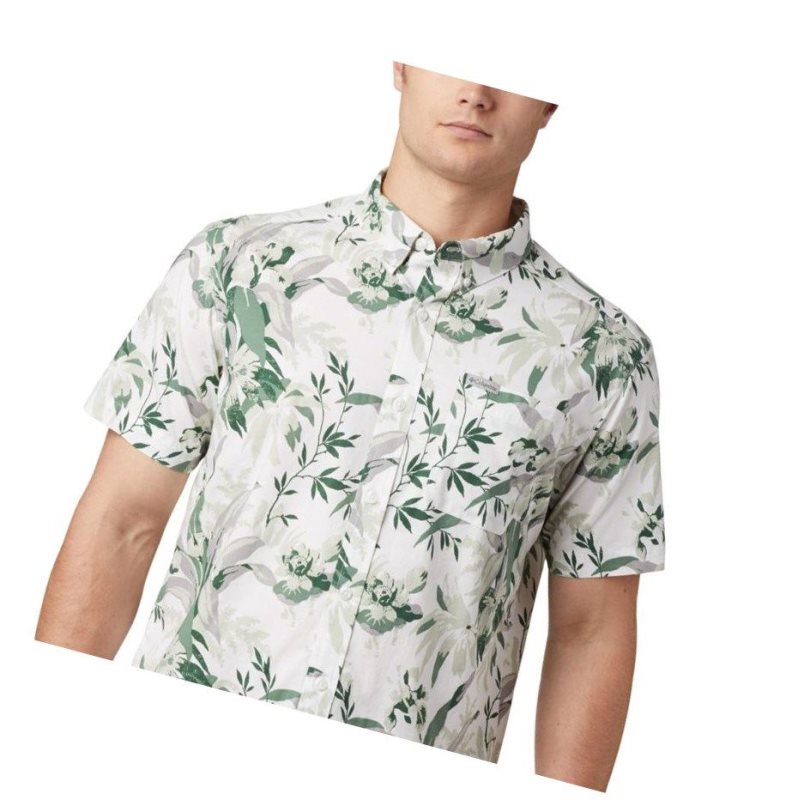 Koszule Columbia Rapid Rivers Printed Short Sleeve Męskie Zielone | 98KVAMZTO