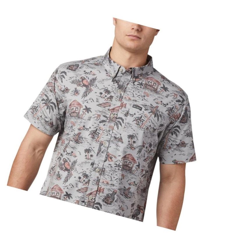 Koszule Columbia Rapid Rivers Printed Short Sleeve Męskie Szare | 19IBJRTGZ