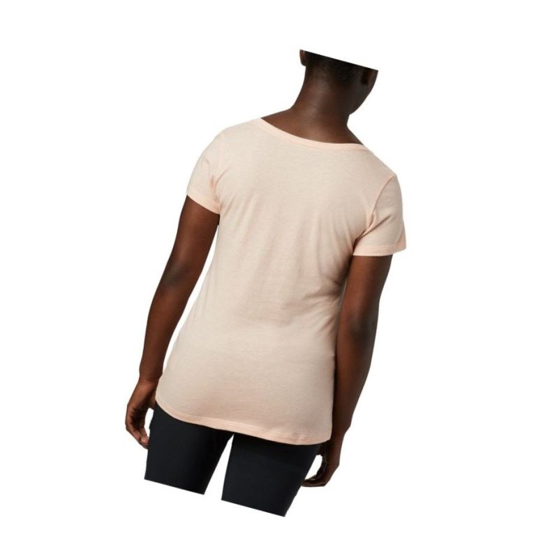 Koszulki Columbia Hidden Lake V-Neck Damskie Różowe | 67MXDAIFL