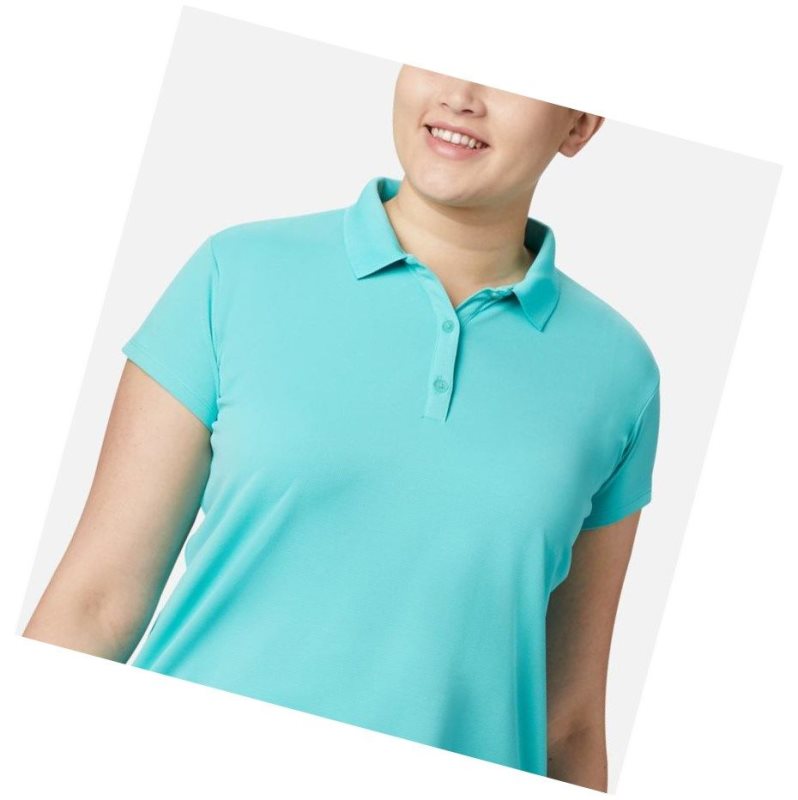 Koszulki Polo Columbia PFG Innisfree Short Sleeve Plus Size Damskie Niebieskie | 97GDESHUZ