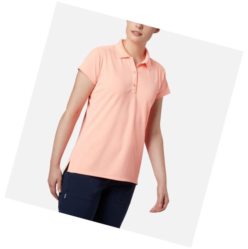 Koszulki Polo Columbia PFG Innisfree Short Sleeve Damskie Różowe | 03WPNGKJH