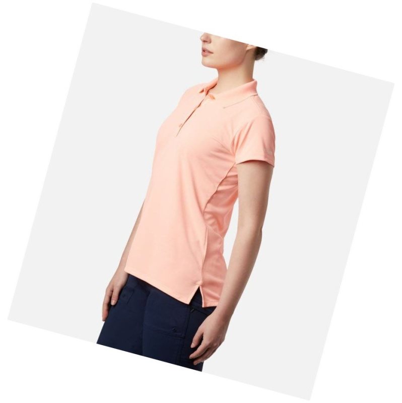 Koszulki Polo Columbia PFG Innisfree Short Sleeve Damskie Różowe | 03WPNGKJH