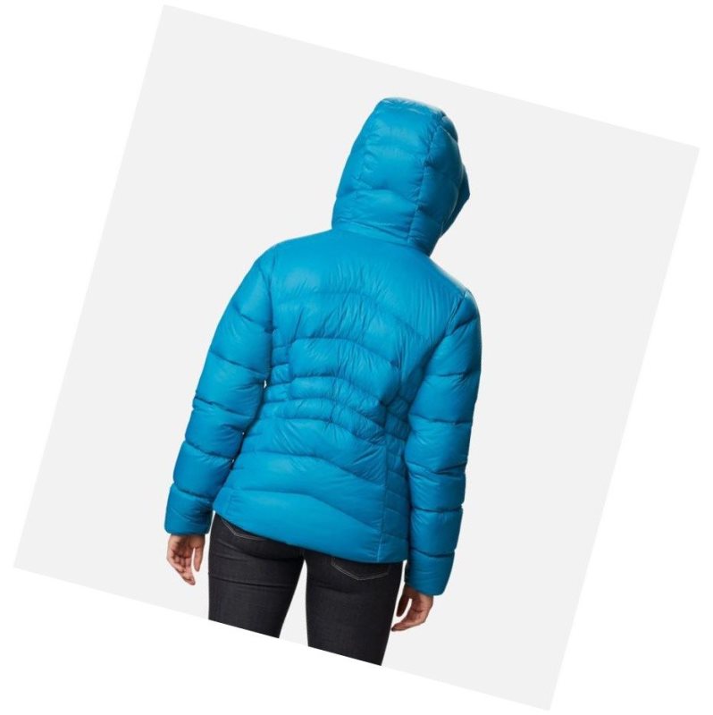 Kurtki Columbia Autumn Park Down Hooded Damskie Niebieskie | 61HWNPFGM