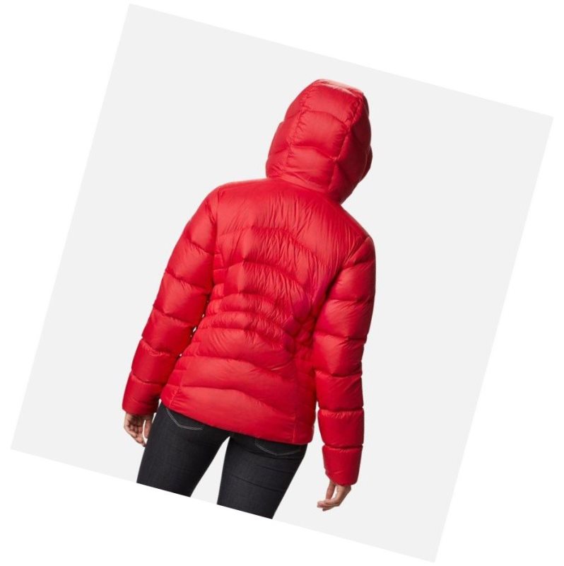 Kurtki Columbia Autumn Park Down Hooded Damskie Czerwone | 93FITPLOX