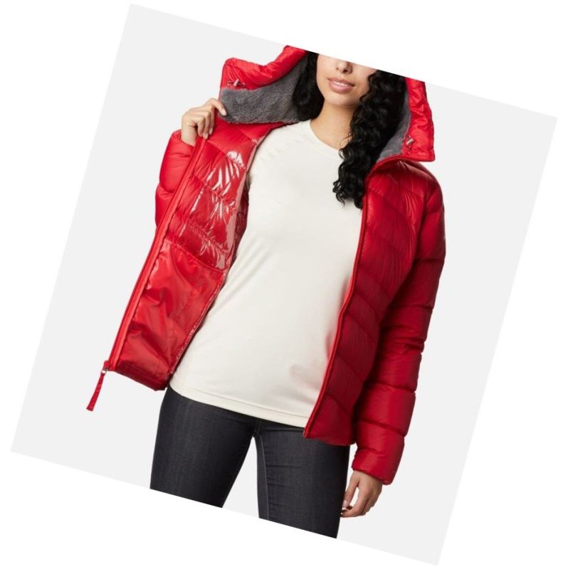 Kurtki Columbia Autumn Park Down Hooded Damskie Czerwone | 93FITPLOX