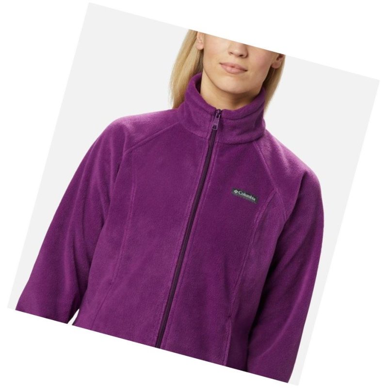 Kurtki Columbia Benton Springs Full Zip Fleece Damskie Brązowe | 82MFHJBAC