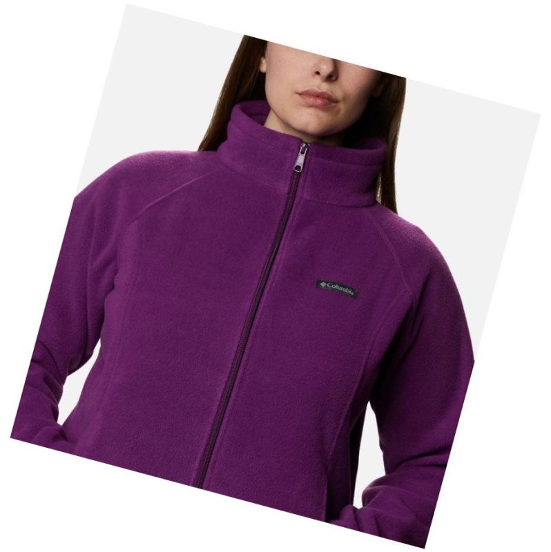 Kurtki Columbia Benton Springs Full Zip Plus Size Damskie Brązowe | 38ZKAWYGP