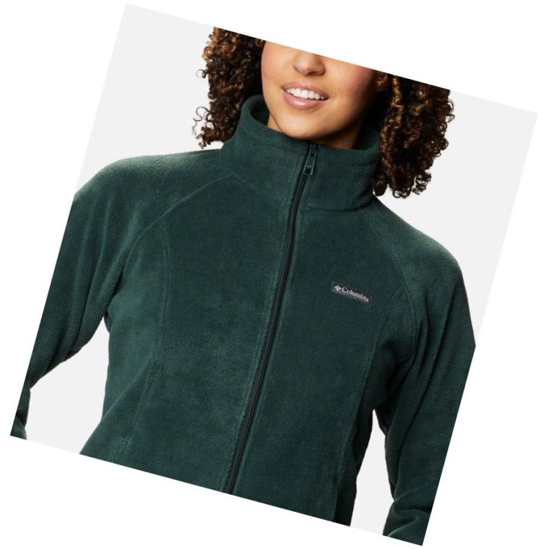 Kurtki Columbia Benton Springs Full Zip Fleece Petite Damskie Zielone | 24WXICHPJ